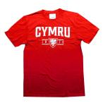 ウェールズ代表　チームオフィシャル　Cymru　Tシャツ