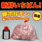 焼き肉 国産 豚肉 ホルモン(ミックス) 300g 自家製みそダレ付属 （BBQ バーべキュー）焼肉 (もつ鍋 もつ煮込み)