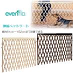 イーブンフロー エクスパンション �