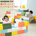 HAENIM TOY マカロン ビッグ ブロック 74ピース セット 大きい カラフル カラーブロック ドア付 おもちゃ/レビューを書いてマスクプレゼント！