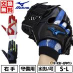 交換無料  野球 守備用手袋 右手 大人 ミズノ 単独水洗い可能 限定モデル 1EJED079 手袋 バッテ刺繍有料可(T)