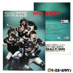 2025 ZETT Z бейсбол * софтбол каталог 