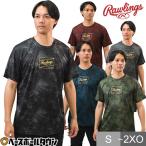 野球 Tシャツ 大人 半袖 丸首 ローリングス Rawlings 吸汗速乾 軽量 昇華プリント ゴーストスモーク2 スポーツウェア ベースボールシャツ 2025 AST15S02