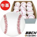 野球 硬式練習球 1ダース(12個)売り バッティング練習用 硬式球 硬球 牛革 天然皮革 練習用 トレーニング HB15-DZ BBCH ベースボールチャンプ