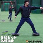 2枚組 バランスボード フィールドフォース トレーニング用品 野球用品 サッカー フットサル