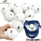 野球 練習 室内練習用 アイボール 20個入り 0〜9の数字入り・各2球ずつ EVA素材 収納バッグ付き FEV-20S フィールドフォース