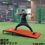 野球 練習 簡易版マウンド 人工芝 スパイク使用可 投球 ピッチング 投手 ピッチャー ブルペン FMD-2495 フィールドフォース