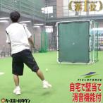 野球 投球・守備練習用 ドデカ壁あてネット 2.0×1.6m 壁当て ピッチング 壁ネット・リアル FKB-2016RG フィールドフォース
