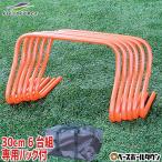 ミニハードル Mサイズ 30cm×6台組 専用バッグ付 野球 サッカー フットサル FMH-600 フィールドフォース