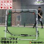 6ヶ月保証 野球 守備・投球練習用ネット フィールディングネット2 守備用ネット トレーニング 捕球 守備練習 FPN-2010F2 フィールドフォース
