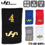  знак вышивка цена включая бейсбол напульсник с одной стороны взрослый - takeyama запястье частота рука пот прекращение пот .. опора сделано в Японии RSTB номер вышивка ( 2 ta до ). номер обработка возможность (N)