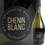  Sparkling вино юг Africa стерео Len последний *shu наан Blanc * Sparkling NV 6009824740059 пена 