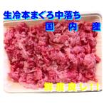 生冷 本マグロ 中落ち (生を真空冷凍) 500g 2パック 入り (合計1kg) 長崎 高知 産 養殖 まぐろ 本まぐろ 中落ち 刺身 刺身 マグロ 切り落し 中落丼 カルパッチョ