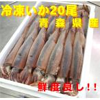 鮮度良し ! 冷凍いか 下氷いか 大 冷凍生いか 20杯入 青森県産 1杯 約250g 三陸産 いか イカ 烏賊 するめいか 真いか 冷凍イカ 刺身 塩辛 北海道 青森