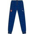 PUMA プーマ UTILITYパンツ ジュニア サッカー・フットサルウェア 753160 02PUMA NEW N