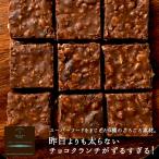ショッピング今だけクーポン 今だけクーポンでお得 低糖質グラノーラチョコクランチ 400g 低糖質　グラノーラ　チョコクランチ　ヘルシーチョコ　チョコレート　ヘルシー　低糖質チョコ