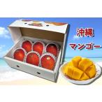 マンゴー 沖縄産マンゴー 約2キロ 良品 カラー写真化粧箱 お中元 送料無料