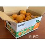  язык can вдоволь 5 kilo . бобы тест бренд Okinawa . простой ..