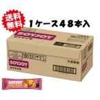  large . made medicine soi Joy SOYJOY sweet potato 30g×48 piece 