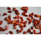 天然石チップサンゴ珊瑚サザレさざれ...