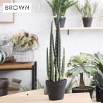 観葉植物 フェイクグリーン インテリアグリーン 多肉 多肉植物 Brown. ブラウン サンセベリア ポット  991590