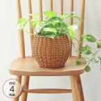  место хранения корзина pot ваза для цветов вода .. модный натуральный UTILEyutiru цветок pot L(4 номер до. горшок соответствует ) 92240008