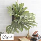 観葉植物造花フェイクグリーンインテ...