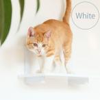  кошка прокат маленький дыра кошка подножка кошка walk стена DIY animacolleanimakoreCatroad+ кошка подножка белый 