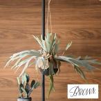 観葉植物造花フェイクグリーンインテ...