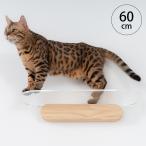  кошка для кошка подножка кошка walk стена установка орнамент MYZOO мой Zoo OBLONG прозрачный кошка подножка 60cm