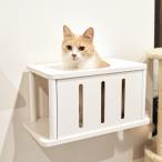  кошка прокат маленький дыра кошка подножка тоннель башня для кошки кошка walk animacolleanimakoreCatroad+ кошка тоннель 
