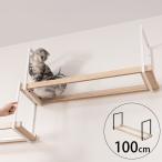 кошка для кошка кошка подножка кошка walk прозрачный MYZOO мой Zoo AVENUE 100cm прозрачный 