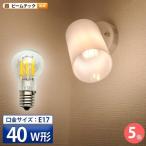 5個セット LED電球 E17 40W 相当 電球色 フィラメント クリアー 電球 エジソン レトロ 北欧 LDG4-E17-35-C ビームテック
