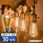 【BONUS+5%】 LED電球 E26 30W 相当 濃い電球色 フィラメント クリアー 電球 エジソン レトロ 北欧 LDST4H-FD-BT-G ビームテック