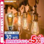 【BONUS+5%】 2個セット LED電球 E26 30W 相当 濃い電球色 フィラメント クリアー 電球 エジソン レトロ 北欧 LDST4H-FD-BT-G ビームテック