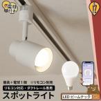 リモコン別売り ダクトレール スポットライト 照明 ライト レールライト E17 LED電球付き 60W 相当 210度 調光 調色 TZE17-LDA5W2C ビームテック