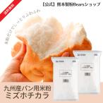 ショッピング無料 パン用米粉 ミズホチカラ 2Kg×2袋（送料無料）