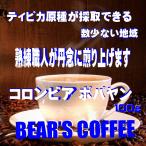 bears coffee コーヒー豆コロンビア ポパヤン 100g コーヒー送料無料 コーヒー豆お試し コーヒー豆焙煎 メール便 コーヒー豆サンプル