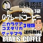 ショッピングコーヒー豆 コーヒー豆お試し Ｑグレード 300g ３種類 コーヒー豆ガテマラ コーヒー豆コスタリカ コーヒー豆ニカラグア