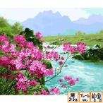 おまけ付き フレームなし 数字塗り絵 セット  大人の塗り絵 絵の具付き 風景 花 flower インテリア 絵画 ジグソーパズル  6683