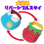  собака кошка для двусторонний нагрудник детский сад рубашка ( синий цвет ) клубника костюмированная игра 