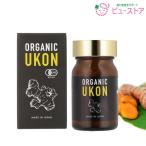  стандартный магазин органический куркума 300 шарик 1 шт ORGANIC UKON местного производства иметь машина куркума . форма .*... не использование иметь машина JAZ засвидетельствование ZIRAJAPAN