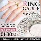 リングゲージ 指輪 サイズ 号数 計測 金属製 フルサイズ サイズゲージ リングゲージ棒 計る 日本標準規格