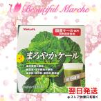 ヤクルトヘルスフーズ まろやかケール 60袋 青汁 国産 粉末 野菜