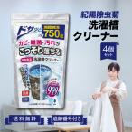 紀陽除虫菊 洗濯槽クリーナー 750g 4個セット 縦型 カビ取り用 黒カビ 石鹸カス取り 非塩素系 洗濯槽洗浄 生乾き臭 全自動洗濯機対応 無香料