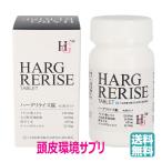 ショッピング環境 ハーグ リライズ錠（60錠）頭皮環境 サプリメント ハーグリライズ （旧 HG リライズ錠）HARG RERISE(送料無料)