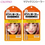 (2個セット) カリプソ マジックコンシーラー サーモンベージュ (定形外送料無料) コンシーラー 濃い目のお肌用 6g 爆買
