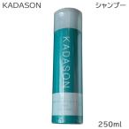 カダソン 薬用スカルプシャンプー 250ml   脂漏性 敏感 肌 フケ かゆみを防ぐ 頭皮 赤み (送料無料) あすつく