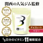 【WPC】Bプロテイン(B-PROTEIN) 　プロテイン　500g　B-fitオリジナル　チョコレート ベリー