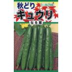 種・F1秋どり キュウリ なる蔵・なる蔵